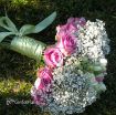 Picture of Gypsophila 'Snow Flake' - One Quart Pot